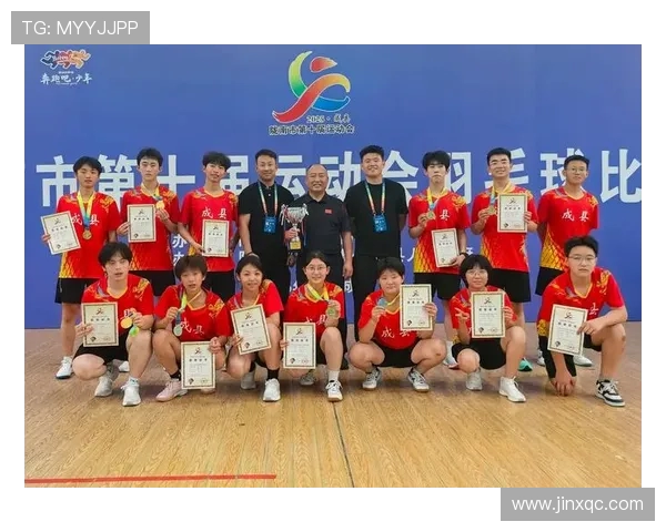 南京羽毛球队近期状态深度对比分析及未来发展趋势探讨