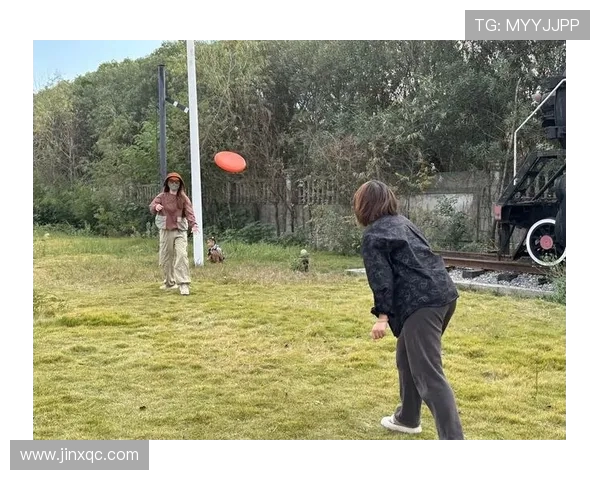 成都飞盘队与北京飞盘队战术较量的深度分析与复盘总结