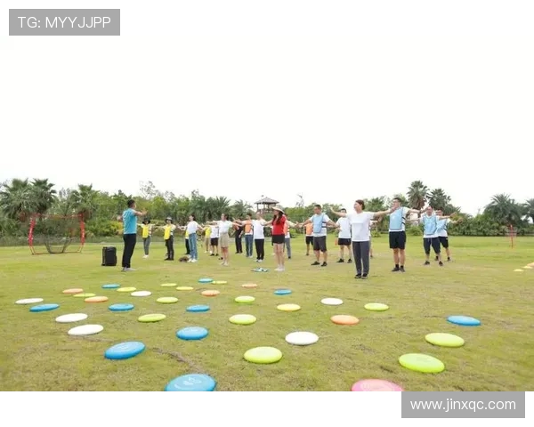 飞盘飞扬上海飞盘队的成长与梦想之旅