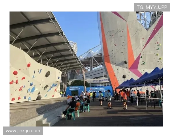 武汉攀岩队在极限运动会中的速度表现分析与点评