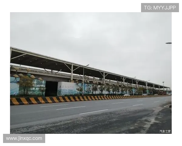 武汉乒乓球队的阵地战解析与未来发展展望